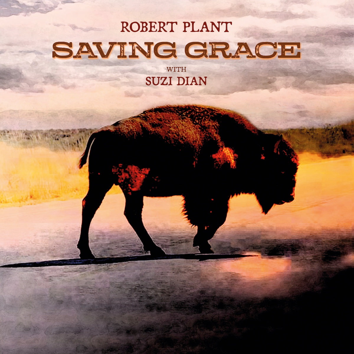 Saving Grace: Vinyl LP