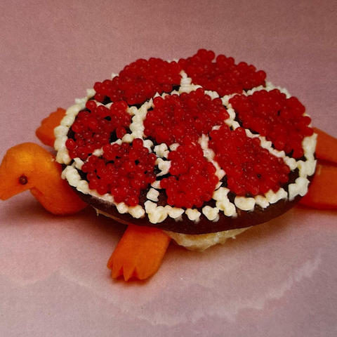 Turtle Rock: Vinyl LP