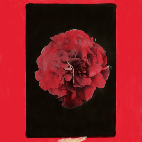 A Thousand Years In Another Way: Vinyl LP