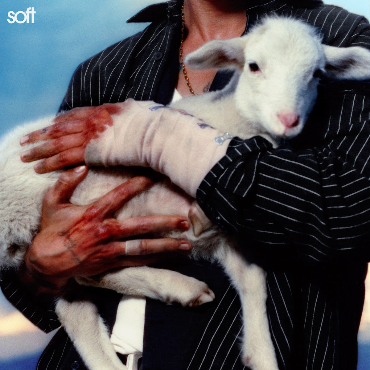 Soft: Maroon Vinyl LP