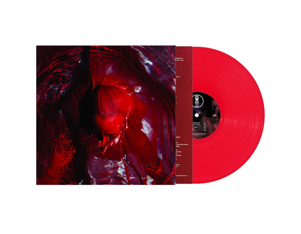 Not Here Not Gone: Transparent Red Vinyl LP
