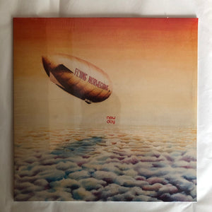 New Day: Vinyl LP